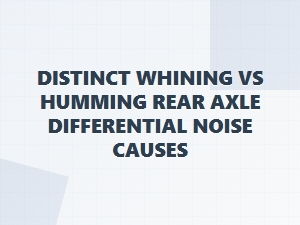 Common Causes of Rear Axle Differential Noise